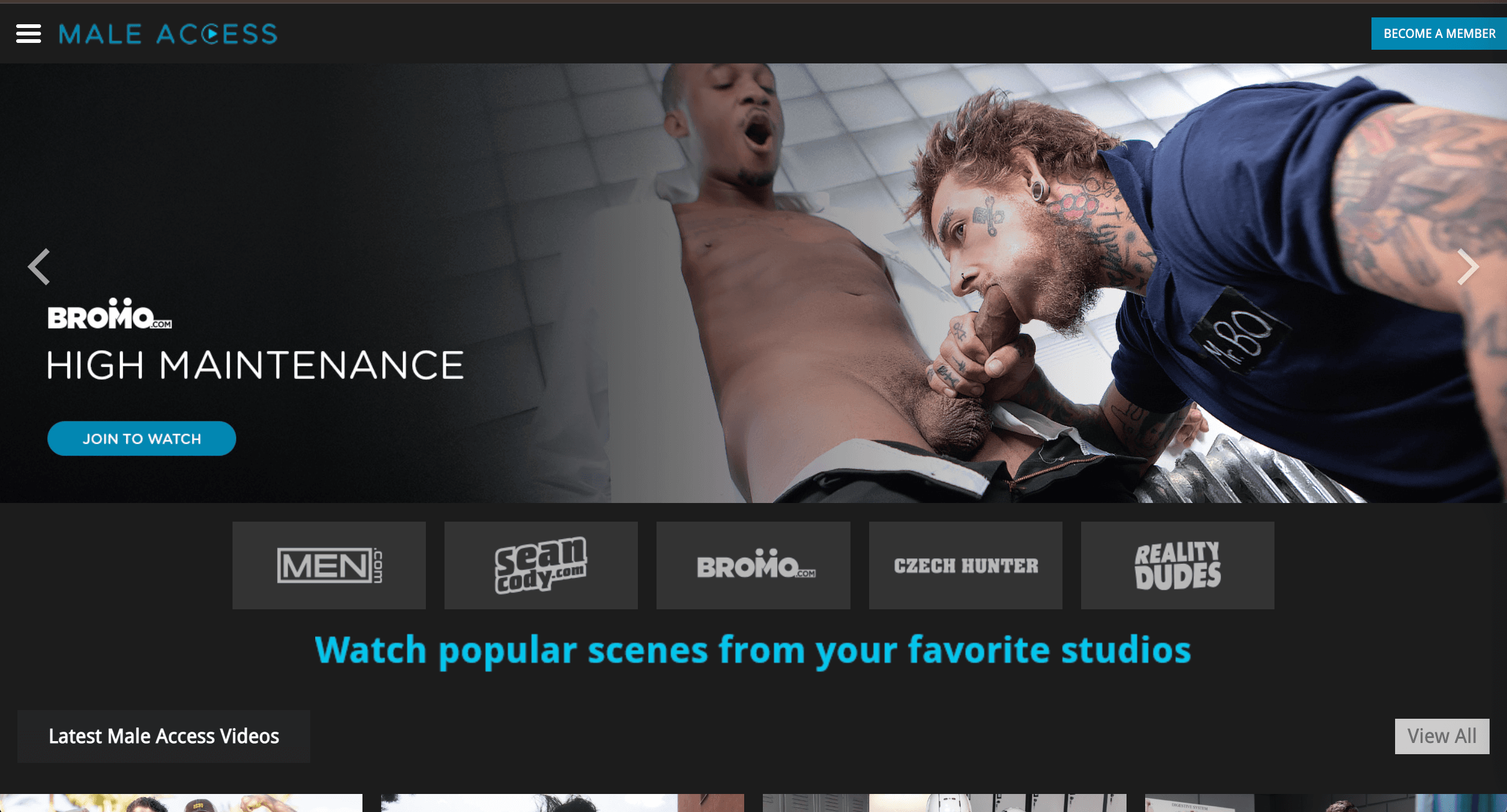 Male Access preview
