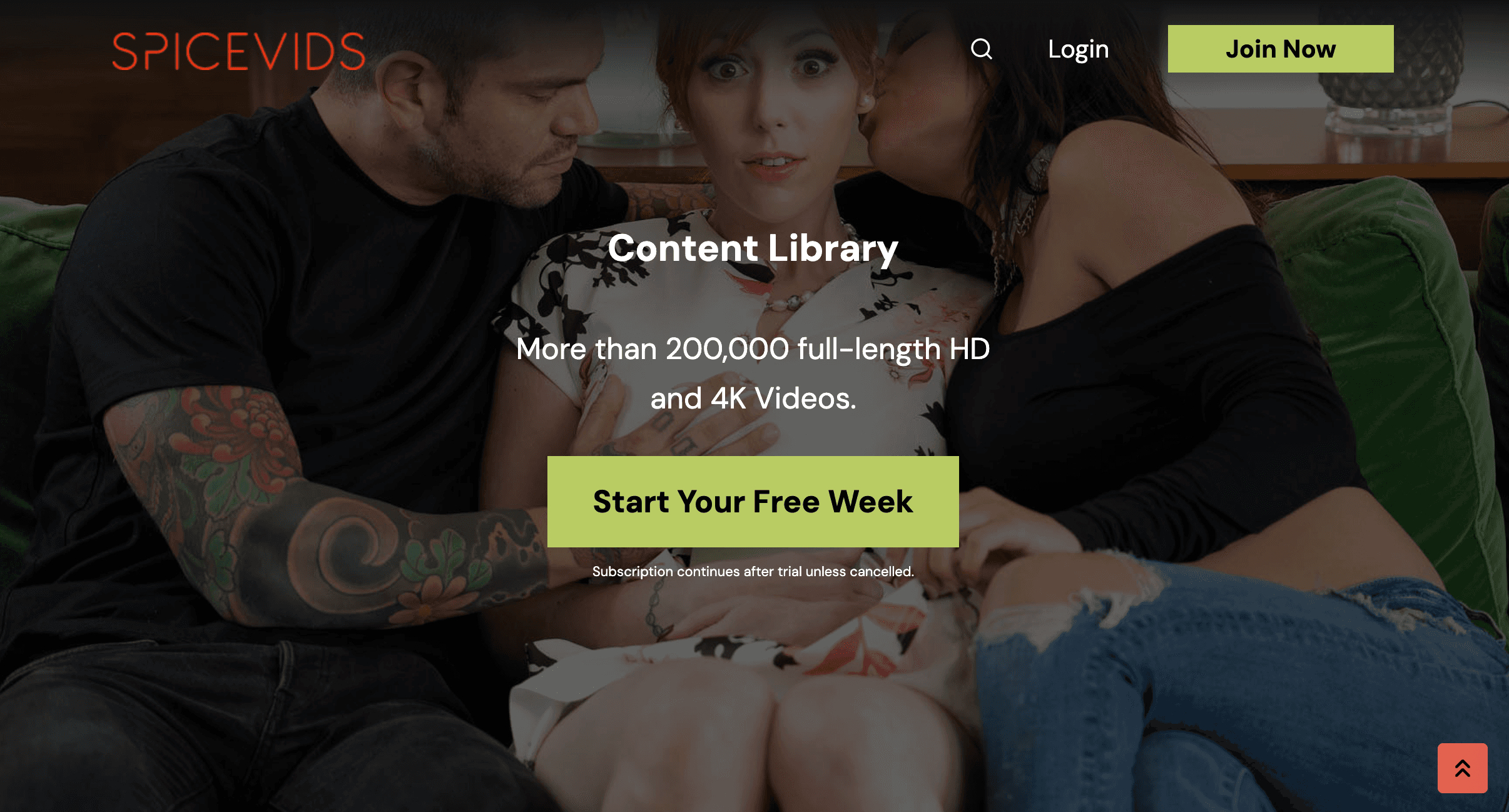 SpiceVids preview